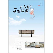 只为命中与你相遇