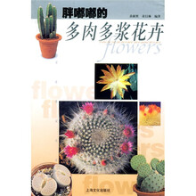 胖嘟嘟的多肉多浆花卉