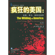 疯狂的美国：贪婪、暴力、新的美国梦（第2版）