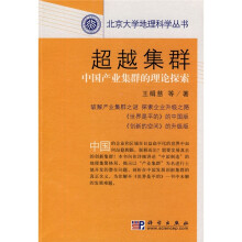 北京大学地理科学丛书·超越集群：中国产业集群的理论探索