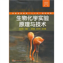 生物科学生物技术系列：生物化学实验原理与技术