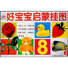 好宝宝启蒙挂图2