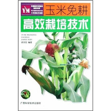 玉米免耕高效栽培技术
