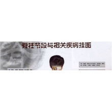 脊柱节段与相关疾病挂图