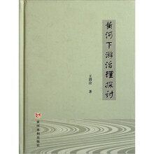 黄河下游治理探讨