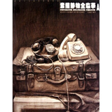 素描静物全临摹A
