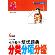 小学数学培优题典:分类分项分级(6年级)