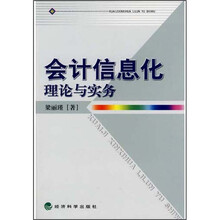 会计信息化理论与实务