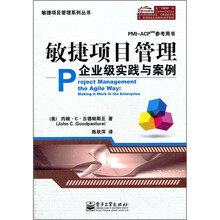 敏捷项目管理：企业级实践与案例（PMI-ACP参考用书）