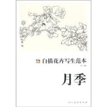白描花卉写生范本：月季（范本传真）