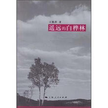 遥远的白桦林