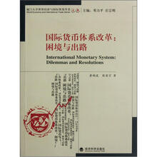 国际货币体系改革：困境与出路