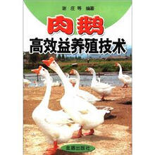 肉鹅高效益养殖技术