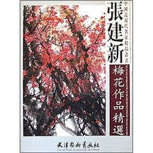 张建新梅花作品精选