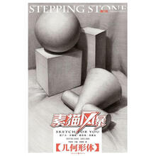 敲门砖·素描风暴系列美术丛书：几何形体