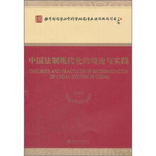 中国法制现代化的理论与实践