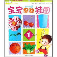 宝宝早教挂图（0-4岁1）/Yes婴幼儿全成长