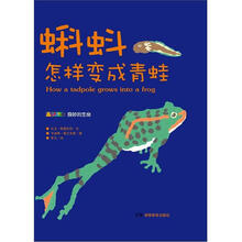 蝌蚪怎样变成青蛙