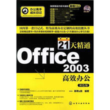 办公高手成长日记:21天精通Office 2003高效办公(附光盘)