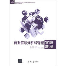 21世纪本科财经管理类专业实验与实践系列规划教材:商业信息分析与管理实践教程