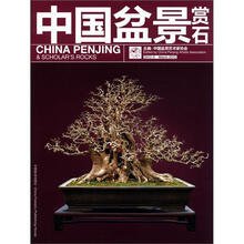 中国盆景赏石(2012-3)