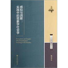 感知与洞察：实践中的现象学社会学