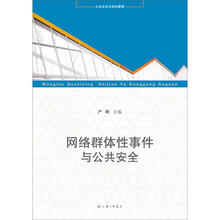 网络群体性事件与公共安全