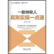 一般纳税人真账实操一点通