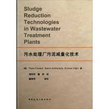 污水处理厂污泥减量化技术