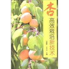 杏高效栽培新技术