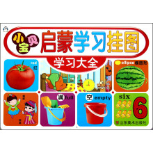 小宝贝启蒙学习挂图：学习大全