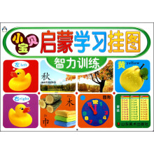小宝贝启蒙学习挂图：智力训练