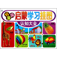 小宝贝启蒙学习挂图：认知大全