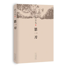 陈忠实：第一刀（2013年版）
