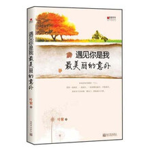 遇见你是我最美丽的意外