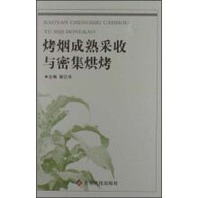烤烟成熟采收与密集烘烤