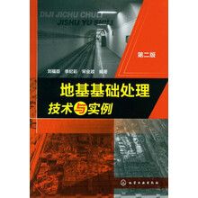 地基基础处理技术与实例(第2版)