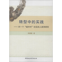 转型中的实践：对一个“城市村”社区的人类学研究