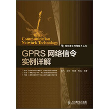 现代通信网络技术丛书：GPRS网络信令实例详解