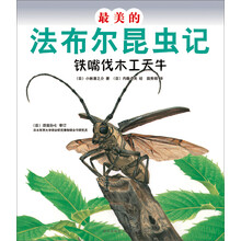 最美的法布尔昆虫记:铁嘴伐木工天牛