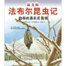 最美的法布尔昆虫记:勤奋的蓑衣匠蓑虫