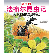 最美的法布尔昆虫记:地下王国统治者蚂蚁
