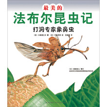 最美的法布尔昆虫记:打洞专家象鼻虫