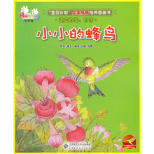 动物幼稚园·空中班：小小的蜂鸟