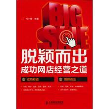脱颖而出：成功网店经营之道