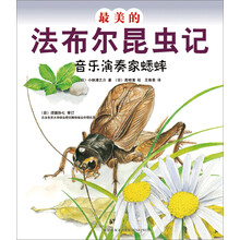 最美的法布尔昆虫记:音乐演奏家蟋蟀