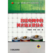 智能电网中的风光储关键技术