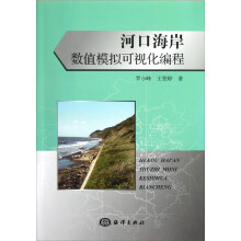 河口海岸数值模拟可视化编程