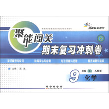 朔枫林新课堂·聚能闯关期末复习冲刺卷:化学(9年级下)(人教版)