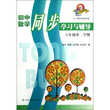 初中数学同步学习与辅导(6年级第2学期)